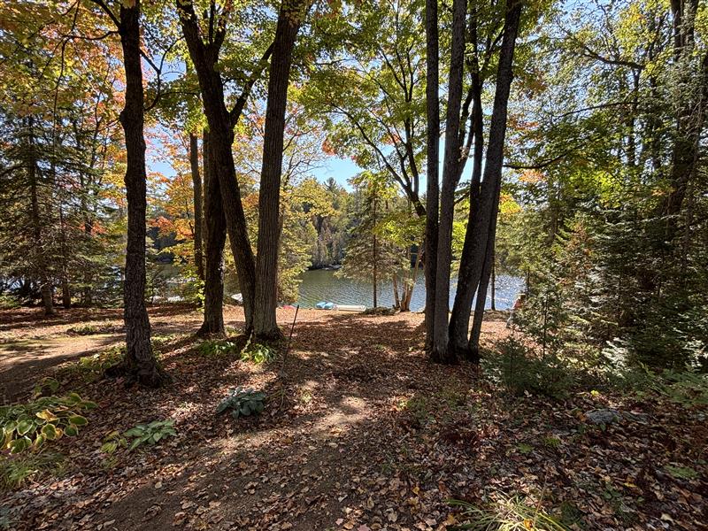 Cottage lake view